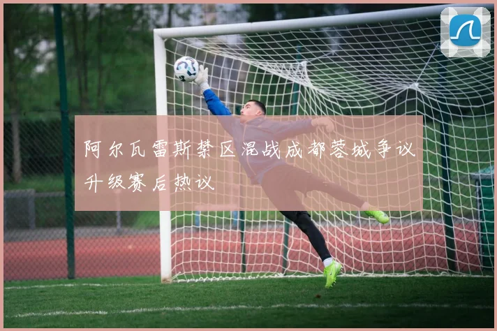 阿尔瓦雷斯禁区混战成都蓉城争议升级赛后热议