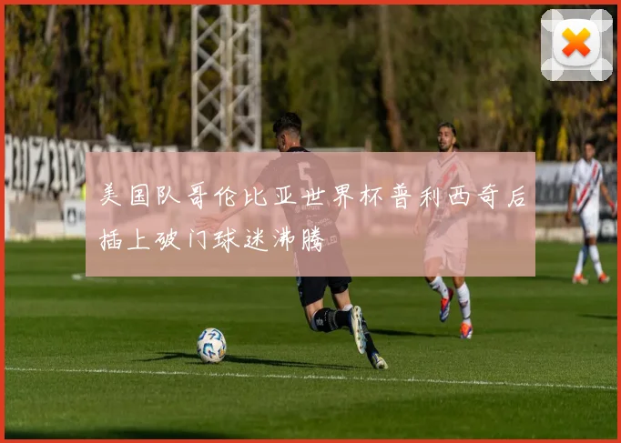 美国队哥伦比亚世界杯普利西奇后插上破门球迷沸腾