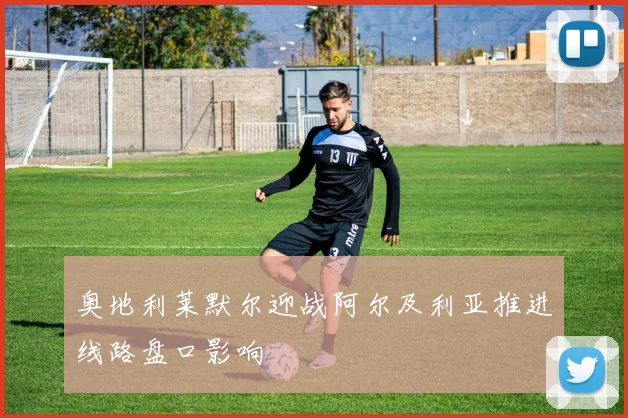 奥地利莱默尔迎战阿尔及利亚推进线路盘口影响