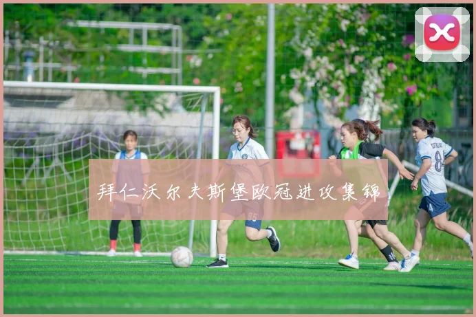 拜仁沃尔夫斯堡欧冠进攻集锦