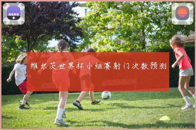 维尔茨世界杯小组赛射门次数预测