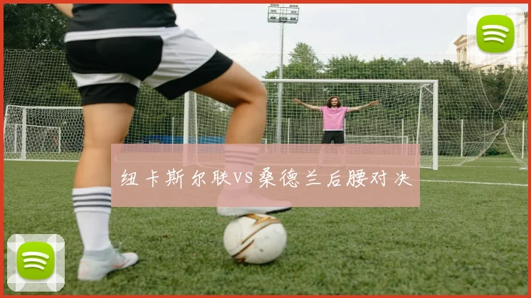纽卡斯尔联vs桑德兰后腰对决
