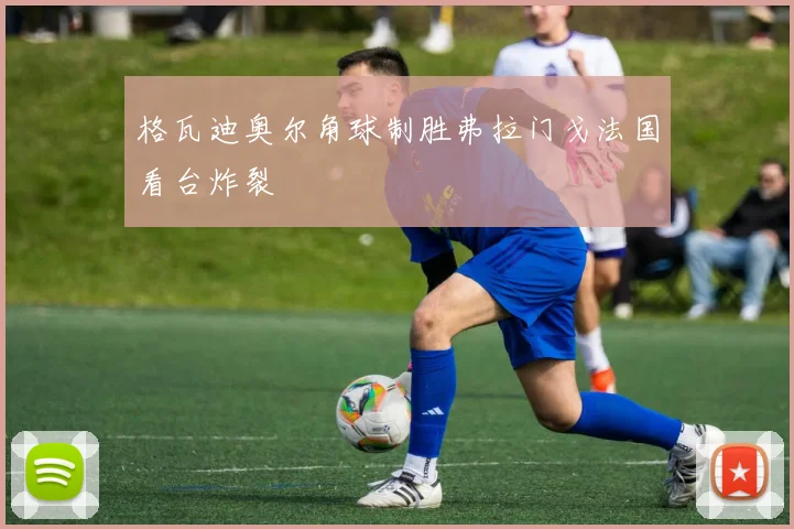 格瓦迪奥尔角球制胜弗拉门戈法国看台炸裂