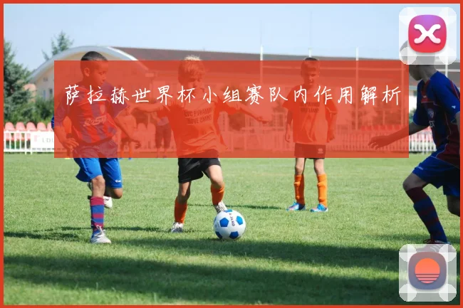 萨拉赫世界杯小组赛队内作用解析